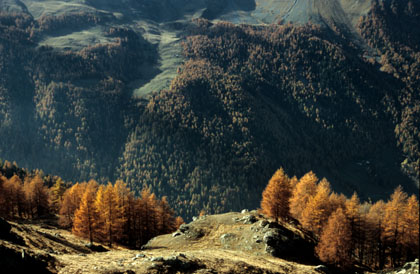 Ambiance sur les massifs